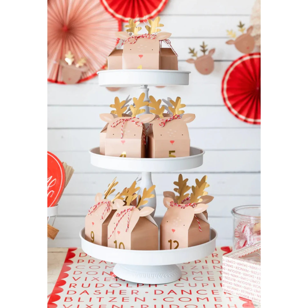 12 Reindeer Advent Boxes for a Festive Christmas Countdown