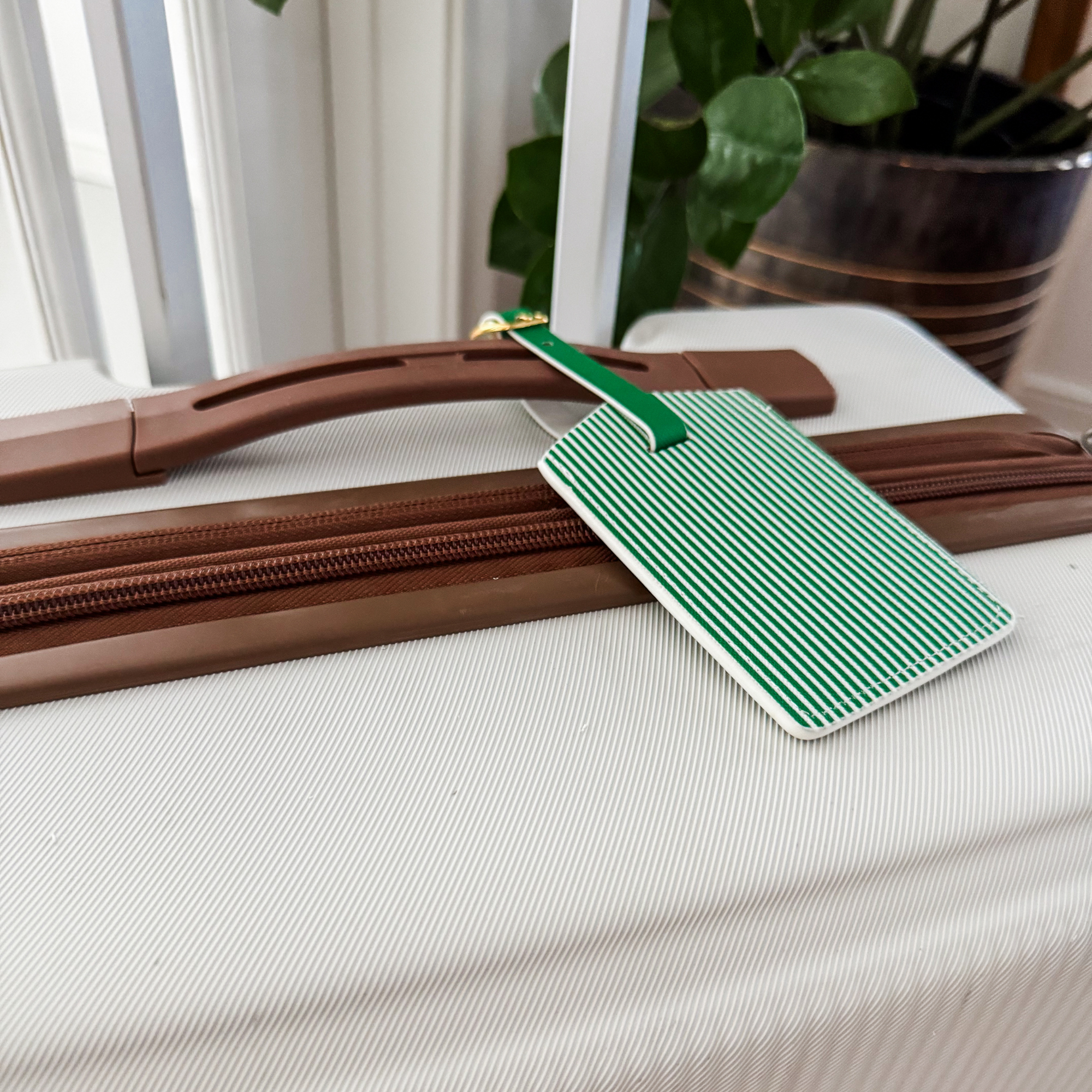 Green Stripe Luggage Tag Set | Vegan Leather Travel Accessory | 2-Pack