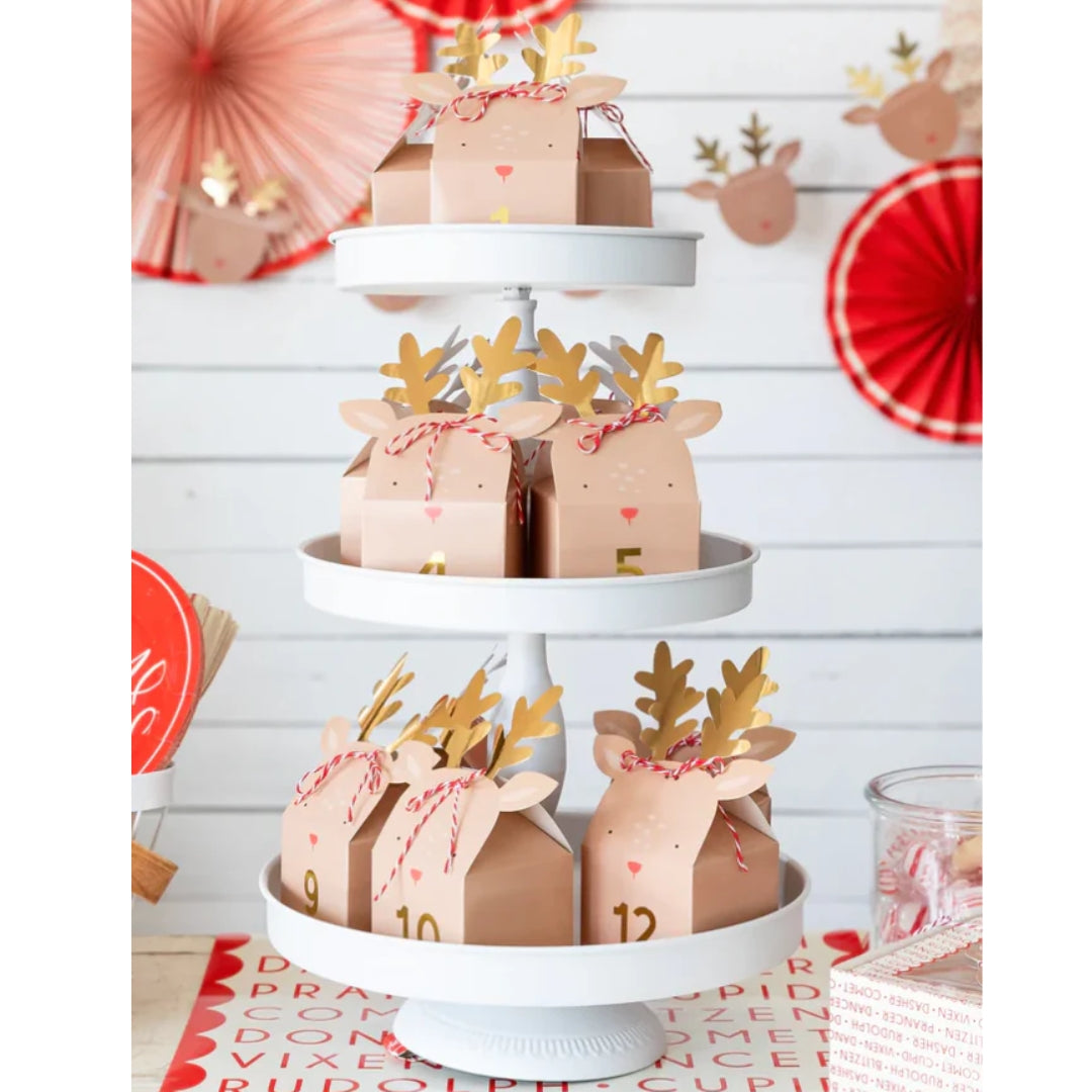 12 Reindeer Advent Boxes for a Festive Christmas Countdown