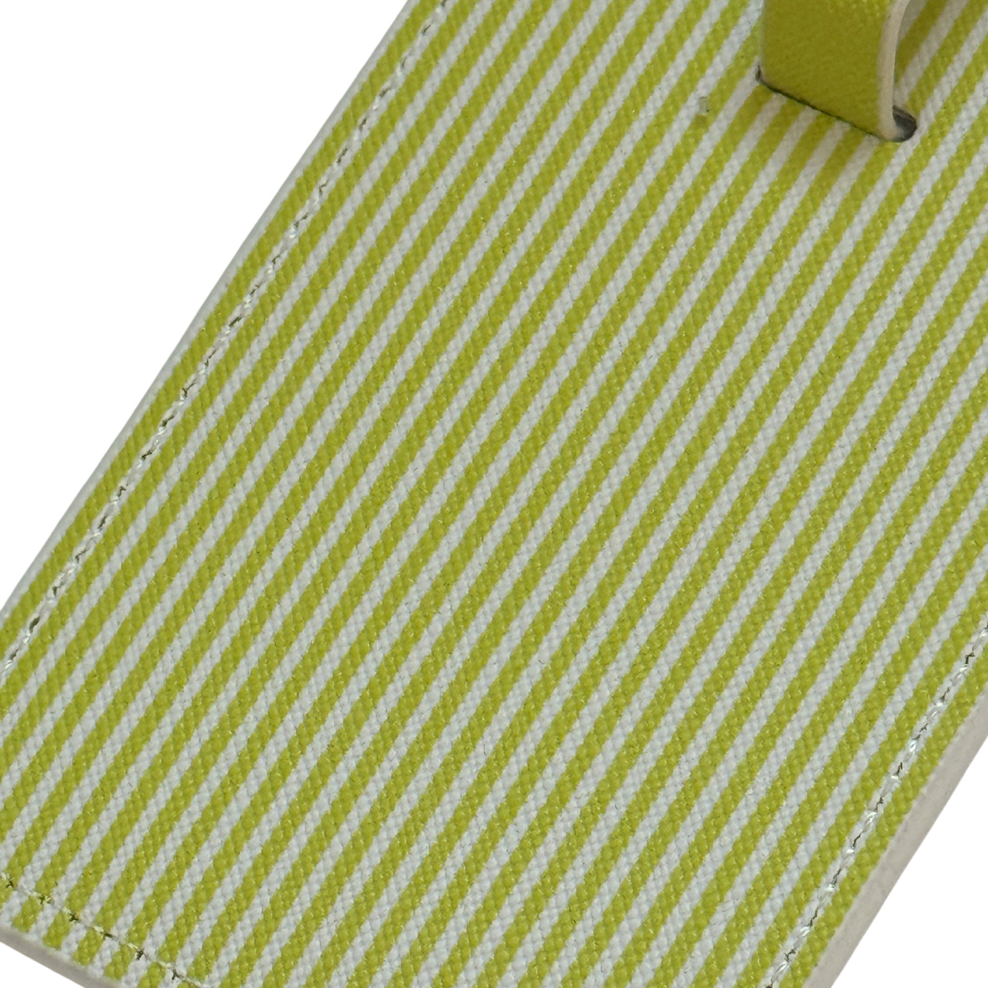 Citrus Lime Stripe Luggage Tag Set | Vegan Leather Travel Accessory | 2-Pack