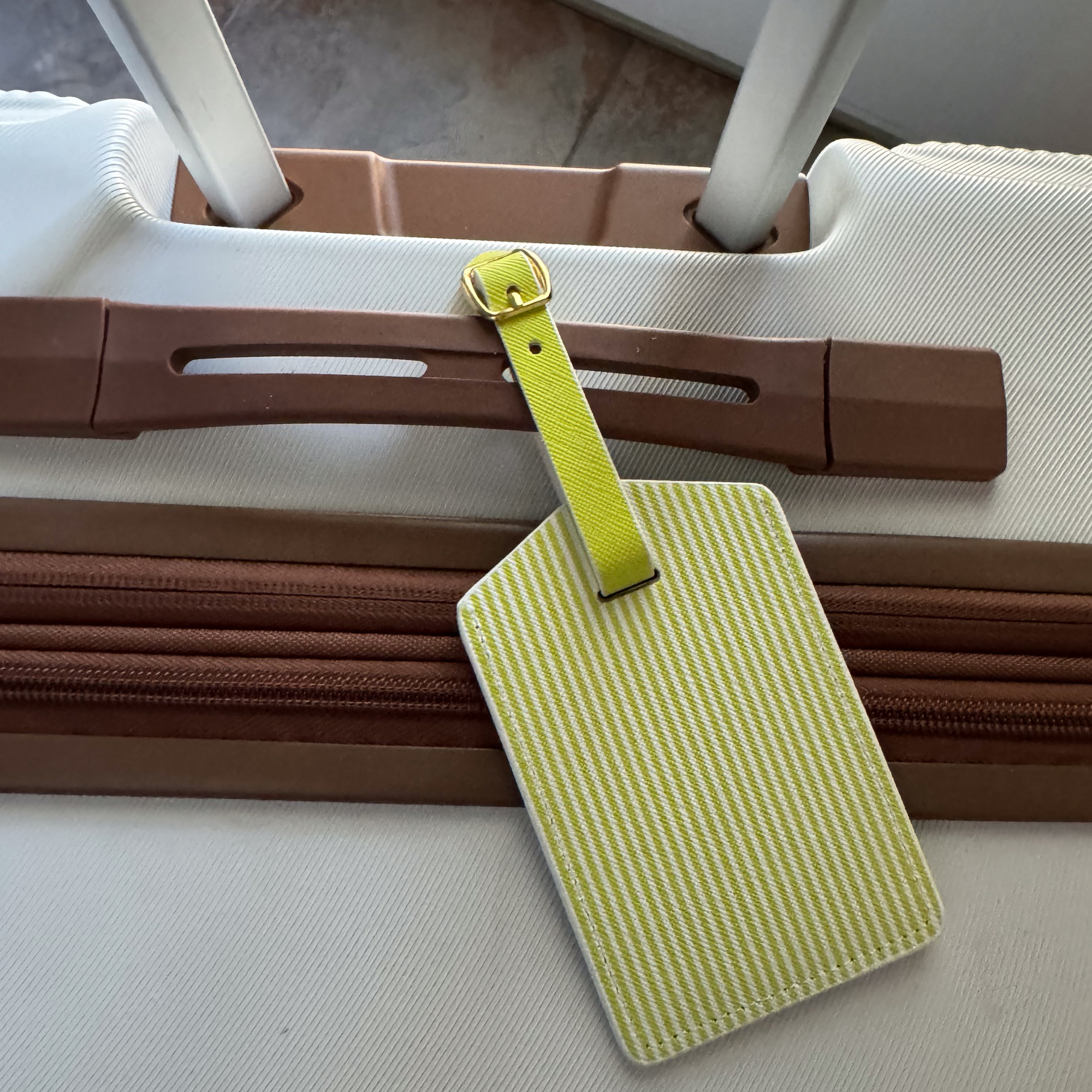 Citrus Lime Stripe Luggage Tag Set | Vegan Leather Travel Accessory | 2-Pack