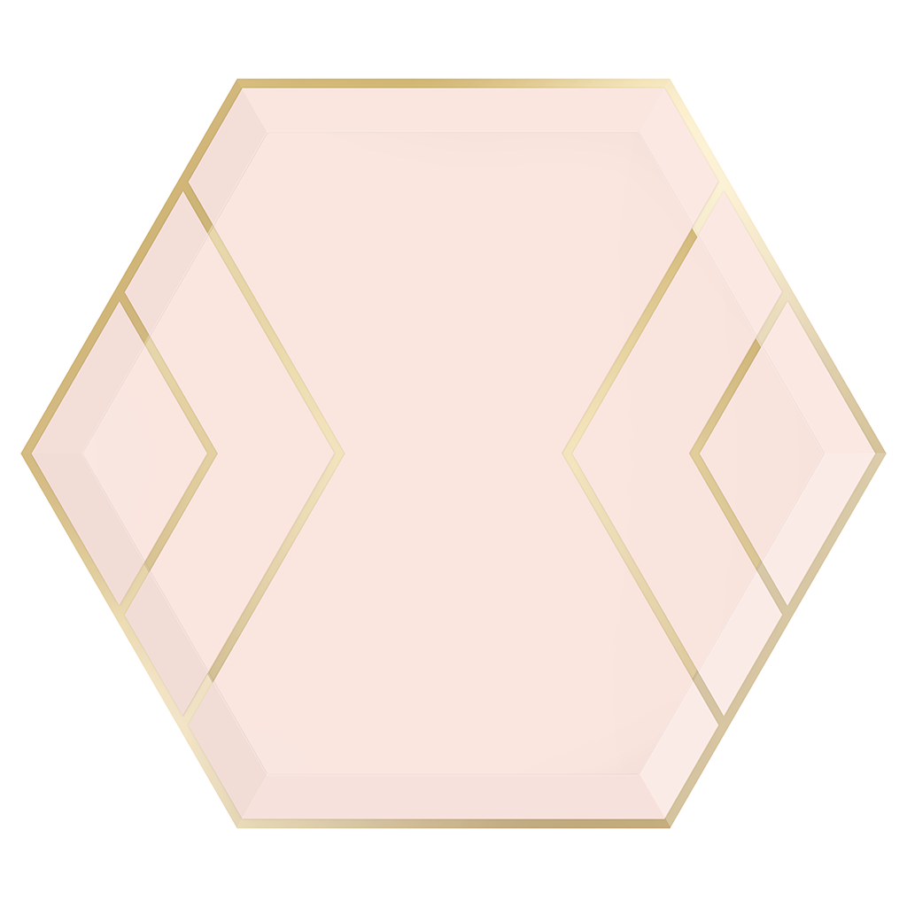 16 Blue Pink Gold Floral Paper Plates for Baby Shower Bridal
